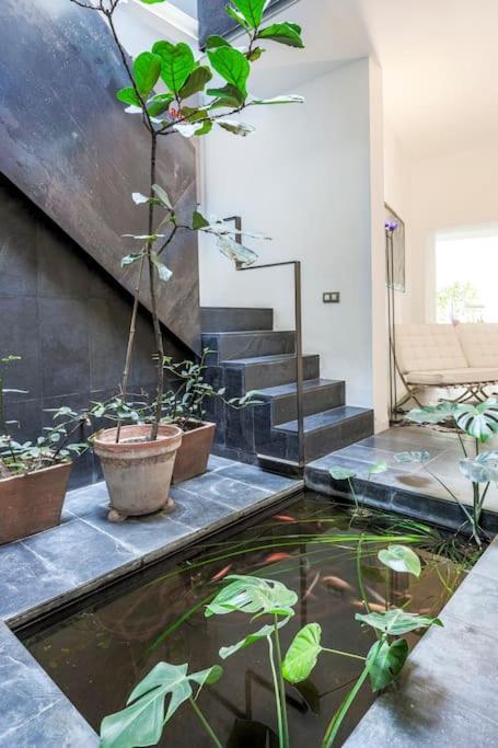 Exclusivo Apartamento De Diseno Centro Sevilla Matahacas Bajo Sevilha Exterior foto