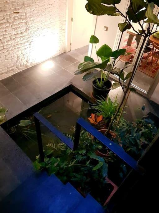 Exclusivo Apartamento De Diseno Centro Sevilla Matahacas Bajo Sevilha Exterior foto