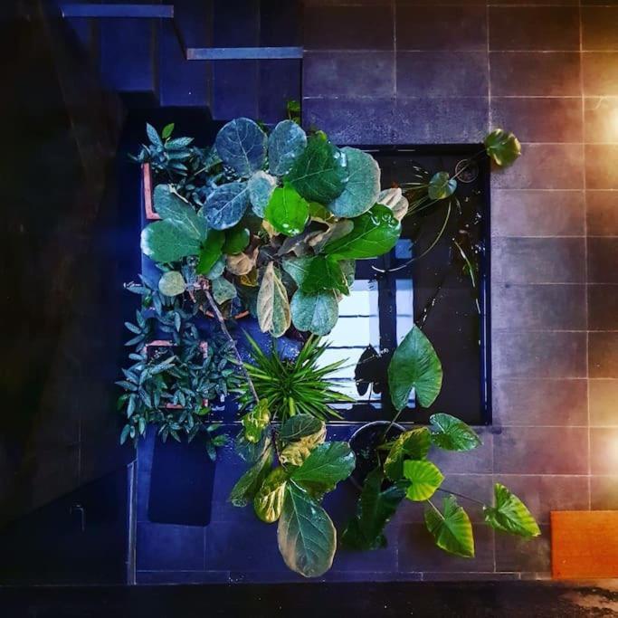 Exclusivo Apartamento De Diseno Centro Sevilla Matahacas Bajo Sevilha Exterior foto